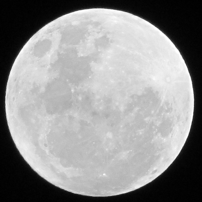 Full Moon photo IMG_2827