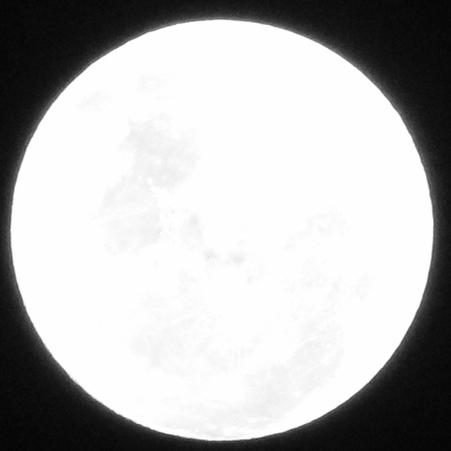 Full Moon photo IMG_2828