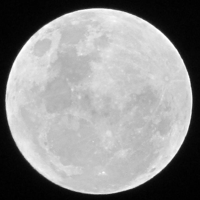 Full Moon photo IMG_2830
