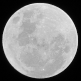 Transit photo IMG_2831